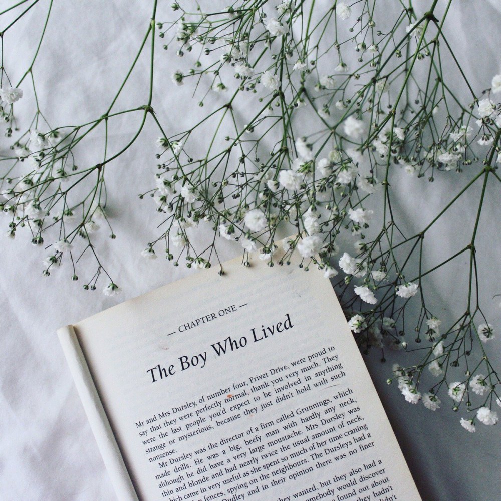 Цветы в книжке