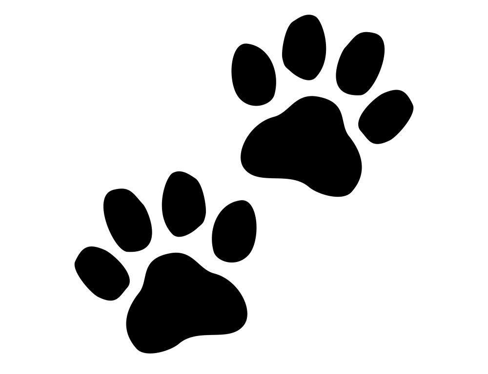 Кошачьи следы