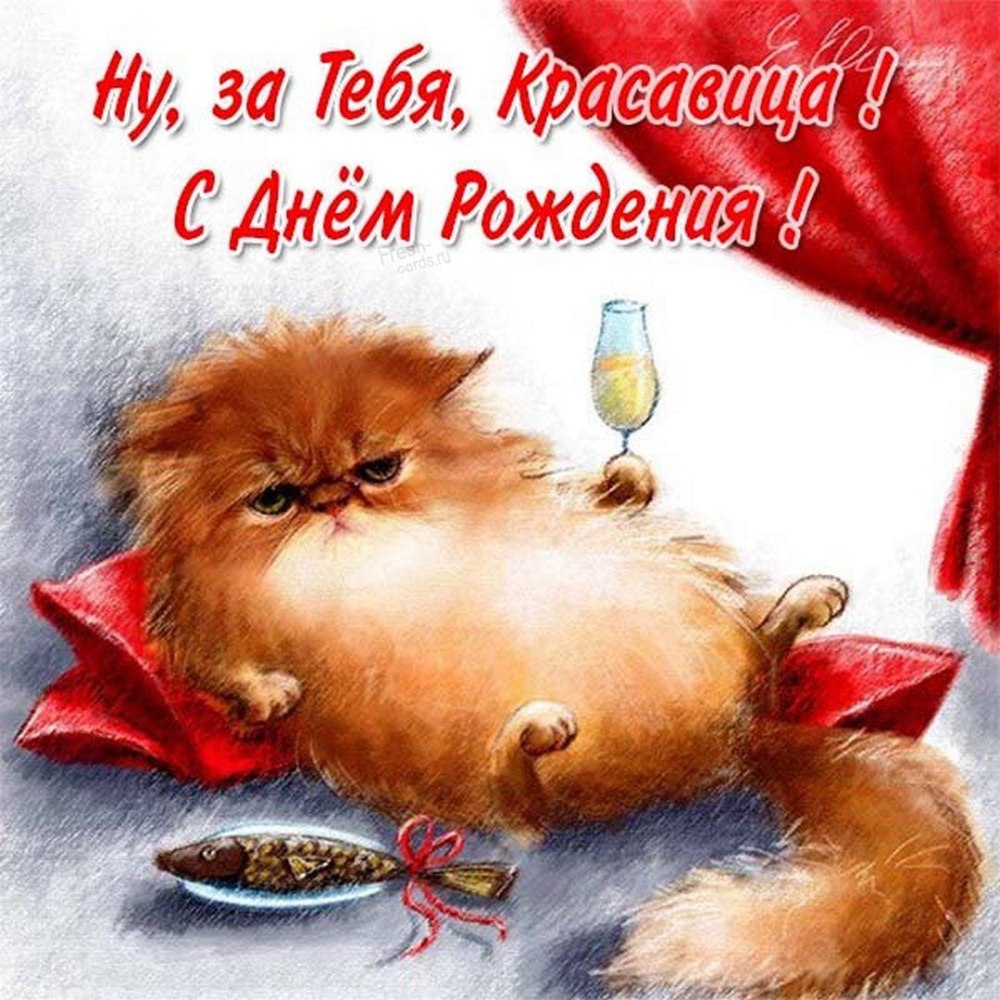 С днем рождения рыжий котик