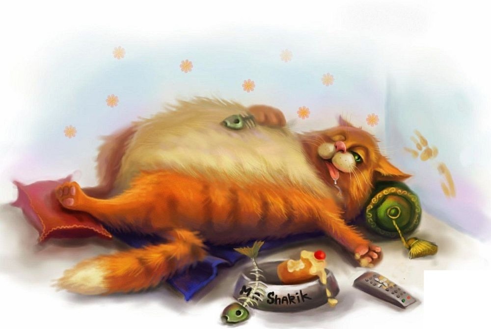 Милые поздравления с днем рождения с котиками