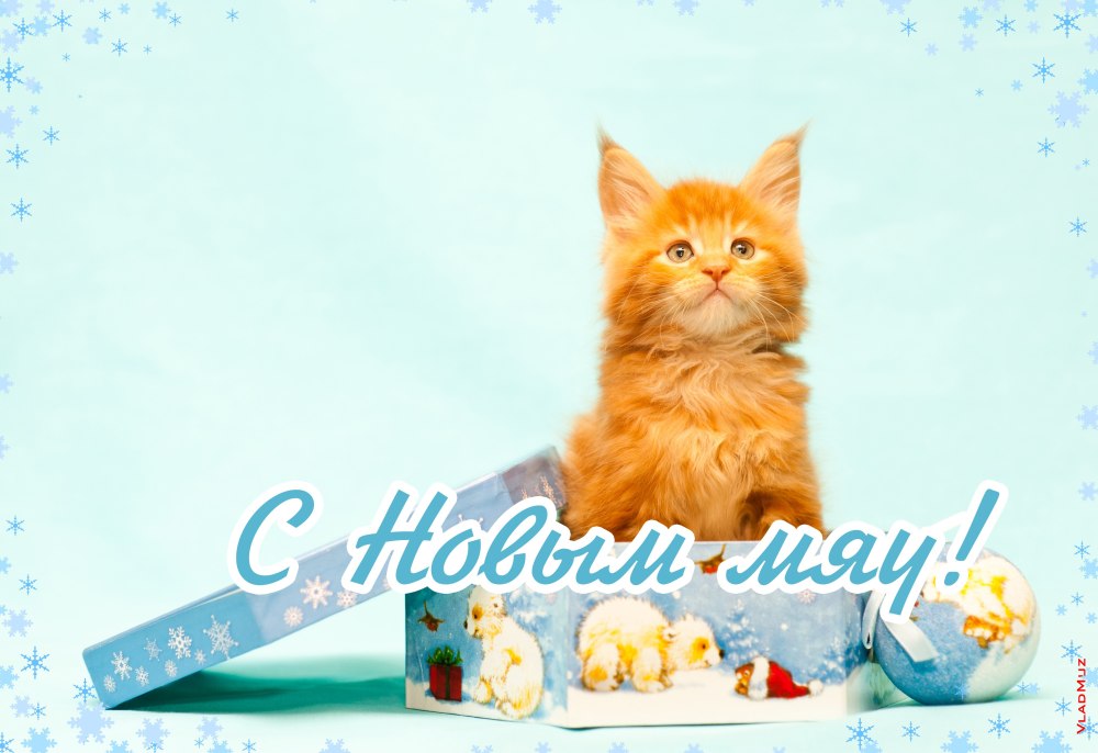 С днём рождения с котиками