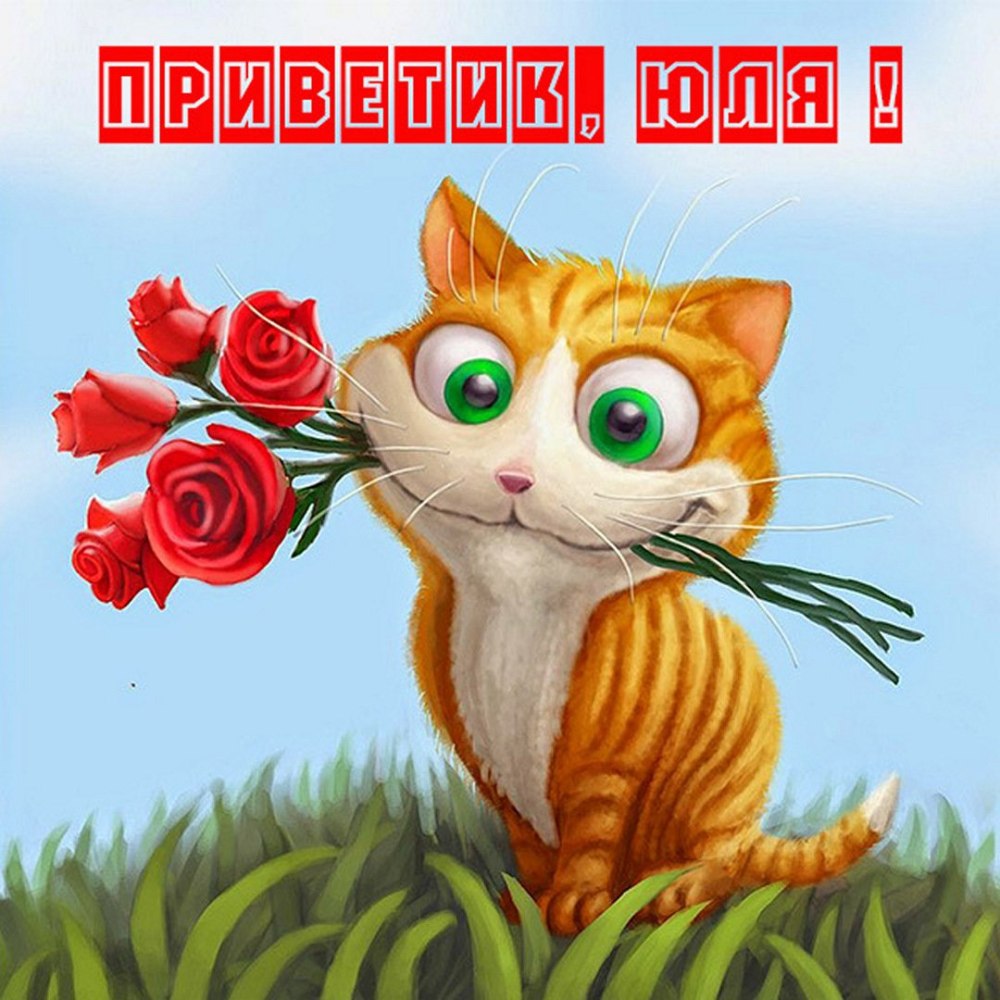 Поздравительные открытки с рыжим котом