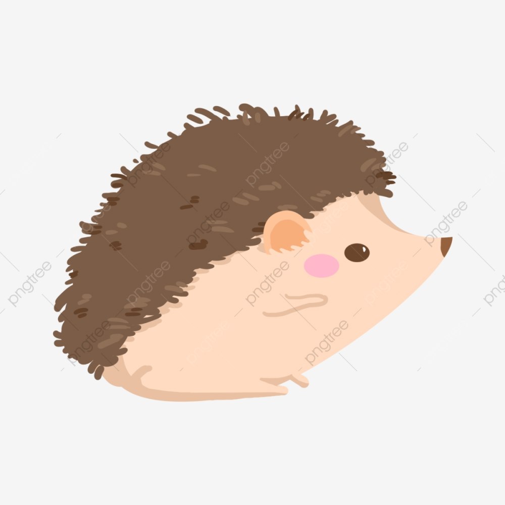 Ёжики живые