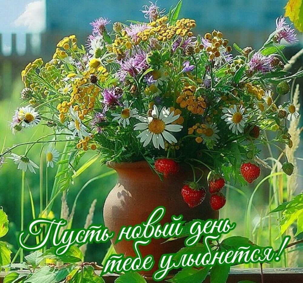 Нежные полевые цветы в вазе