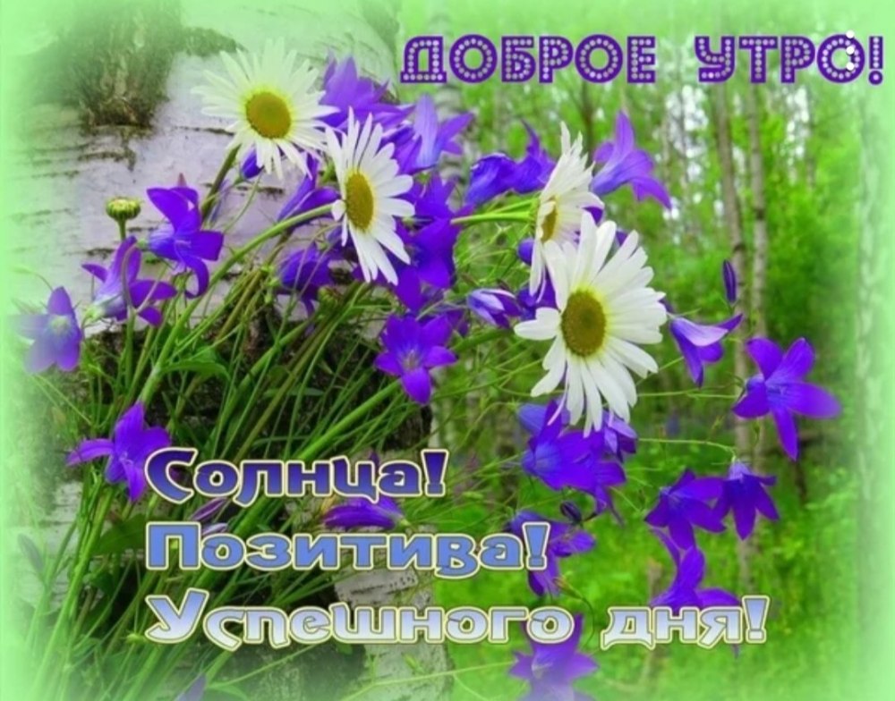 Яркого летнего дня и отличного настроения