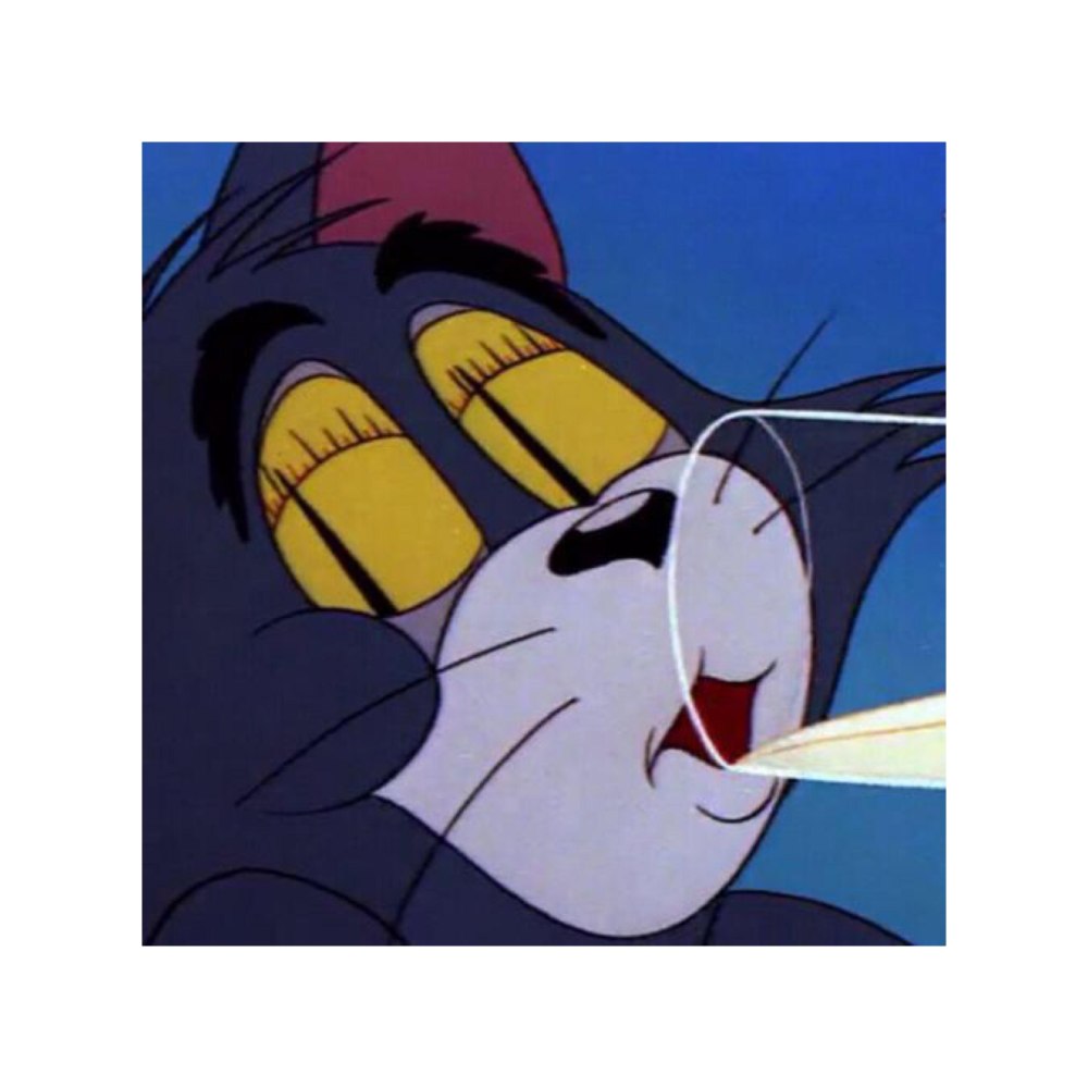 Пьяный кот том