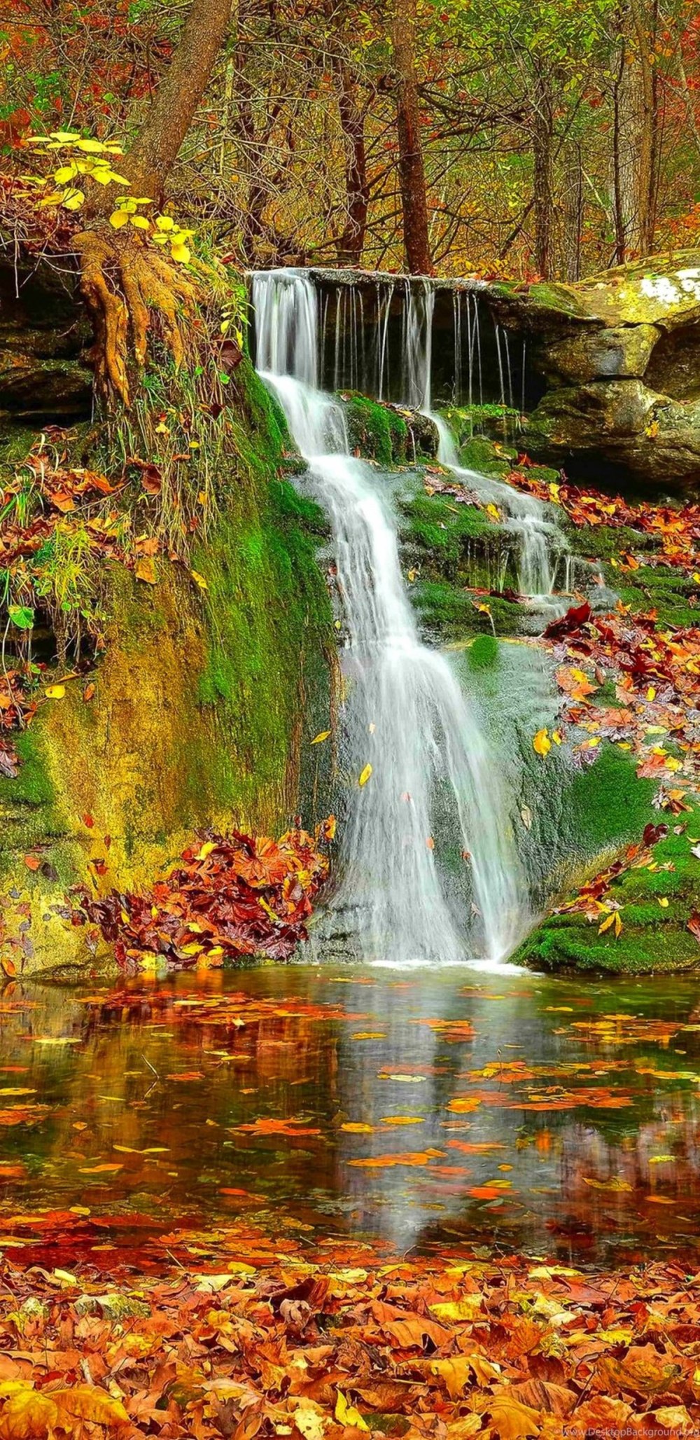 Водопад осень