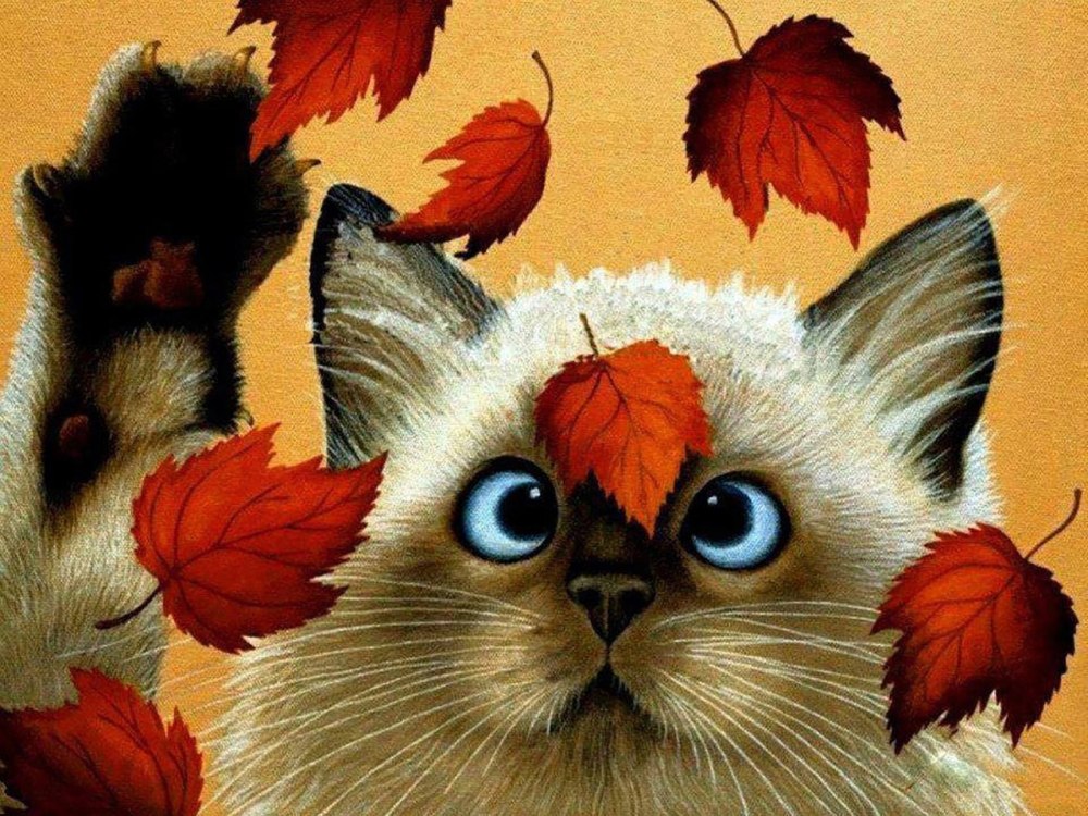 Кошка с листиком на голове