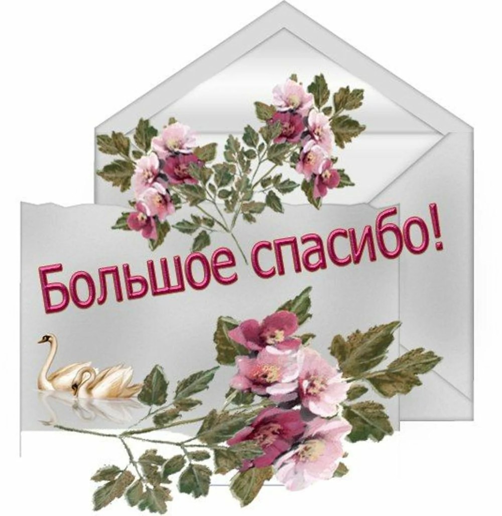 Открытки спасибо большое