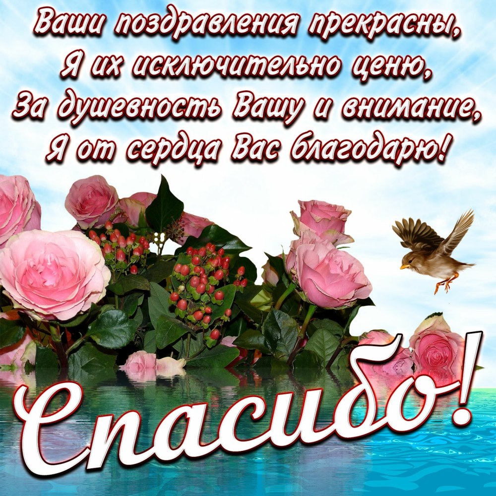 Спасибкиза поздравления