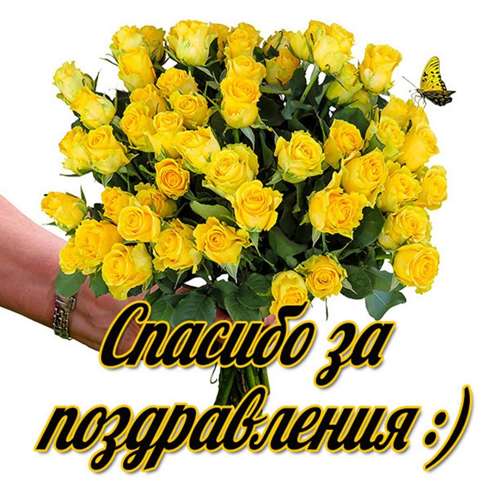 Благодарю за понимание