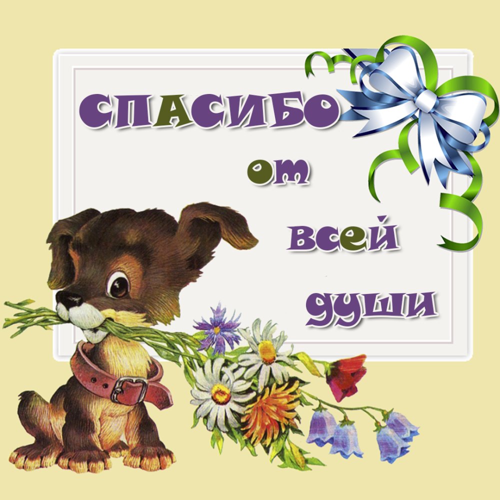 Открытки с благодарностью спасибо
