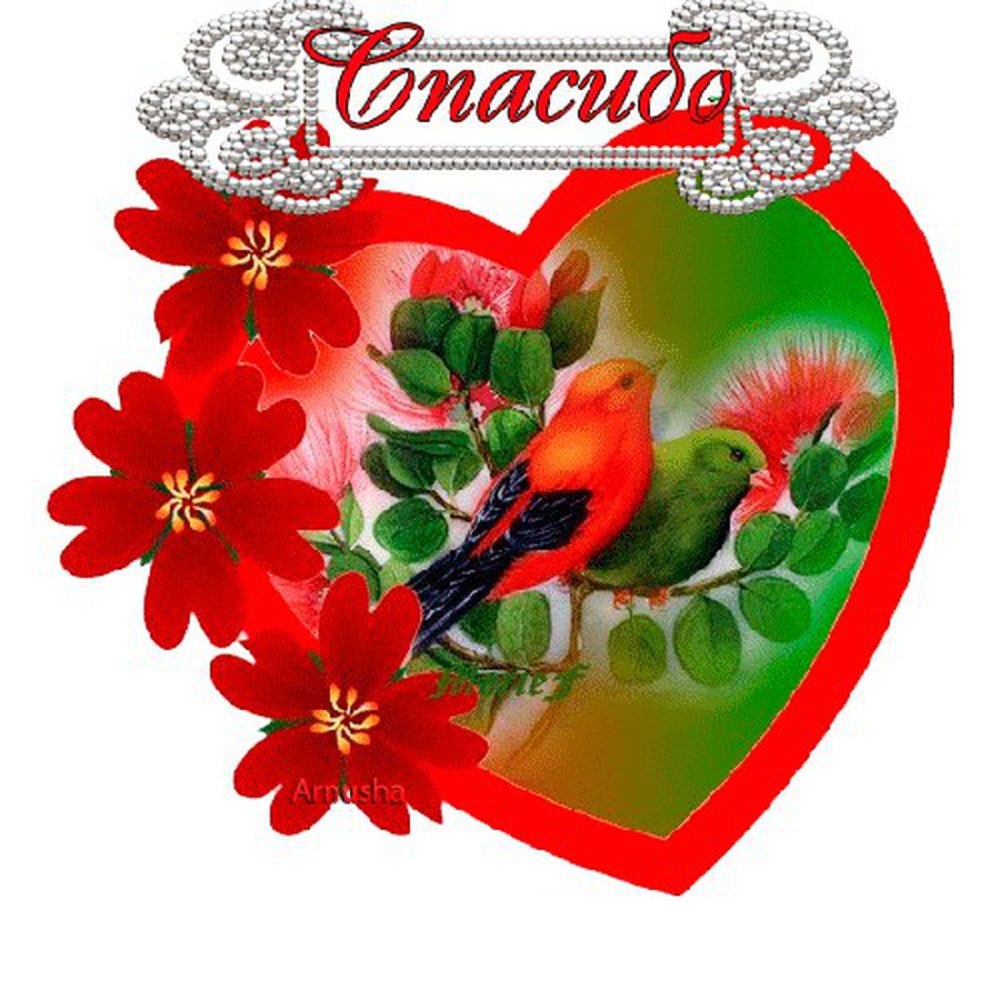 Красивые Стикеры с благодарностью