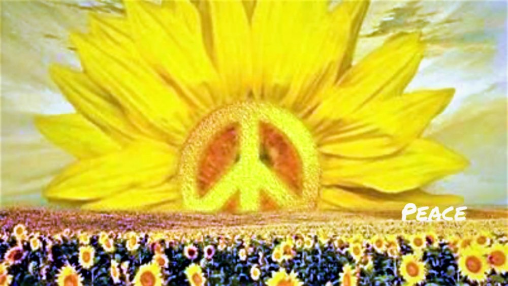 Подсолнуха лепестки сухие