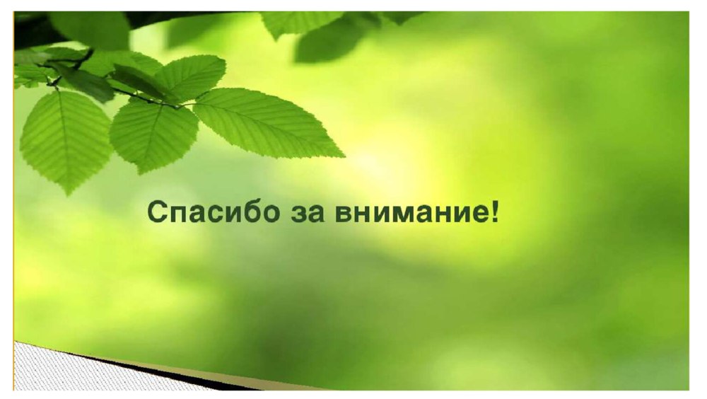Спасибо за внимание книги
