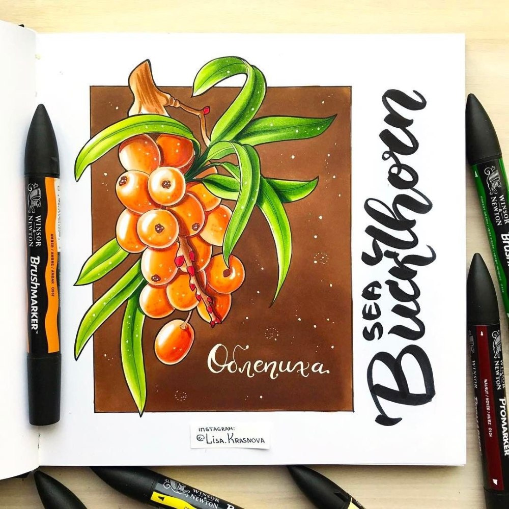 Скетчи для раскрашивания маркерами