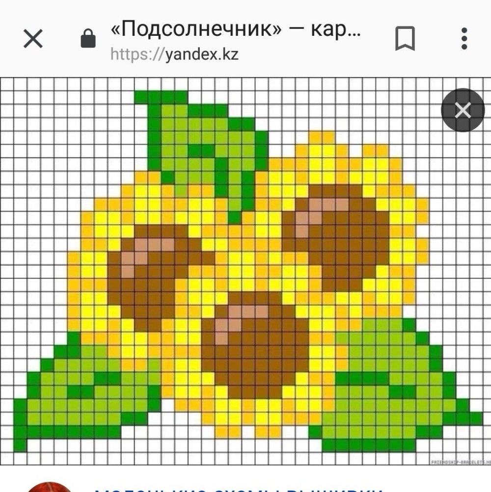 Рисунки по клеточкам роза