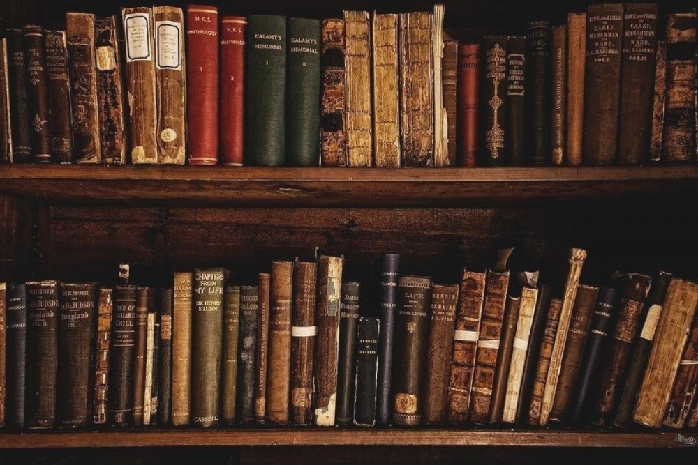 Книги на полке