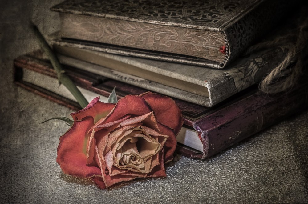 Красивые книги