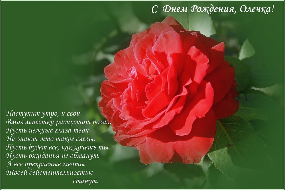 С днем рождения