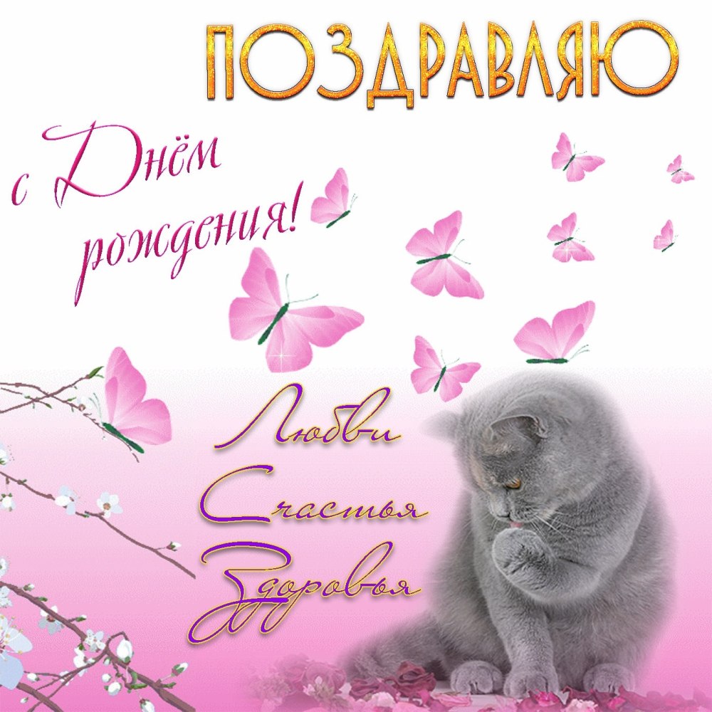Поздравления с днём рождения