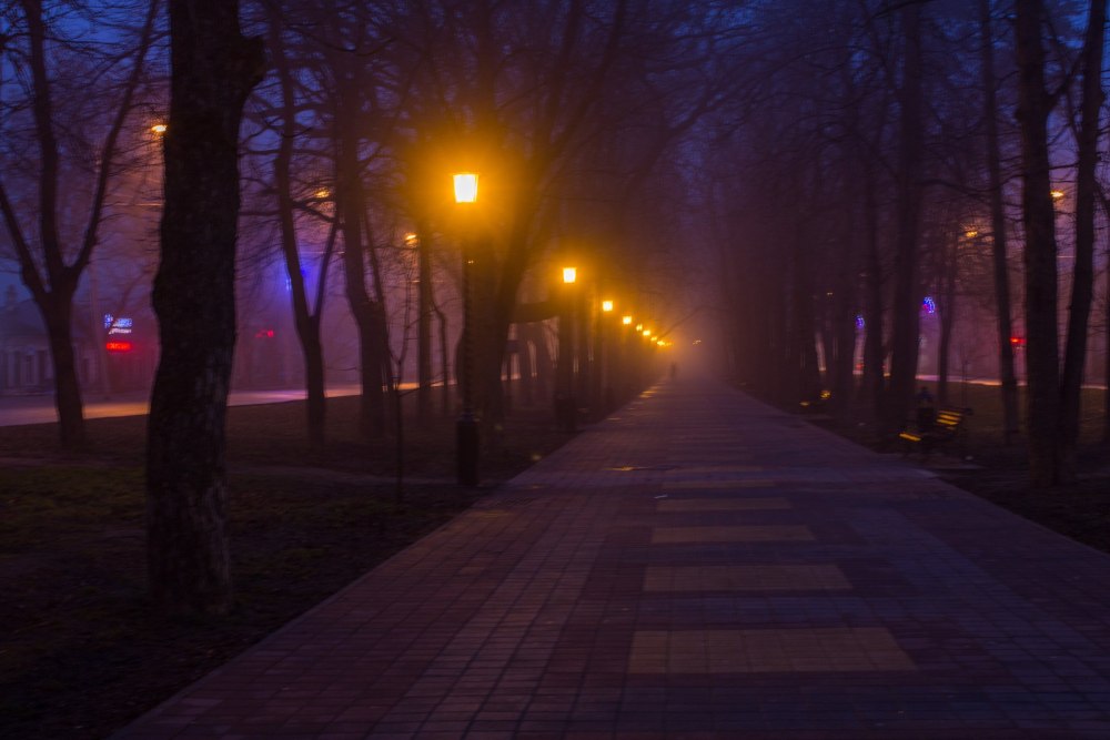 Ночной парк