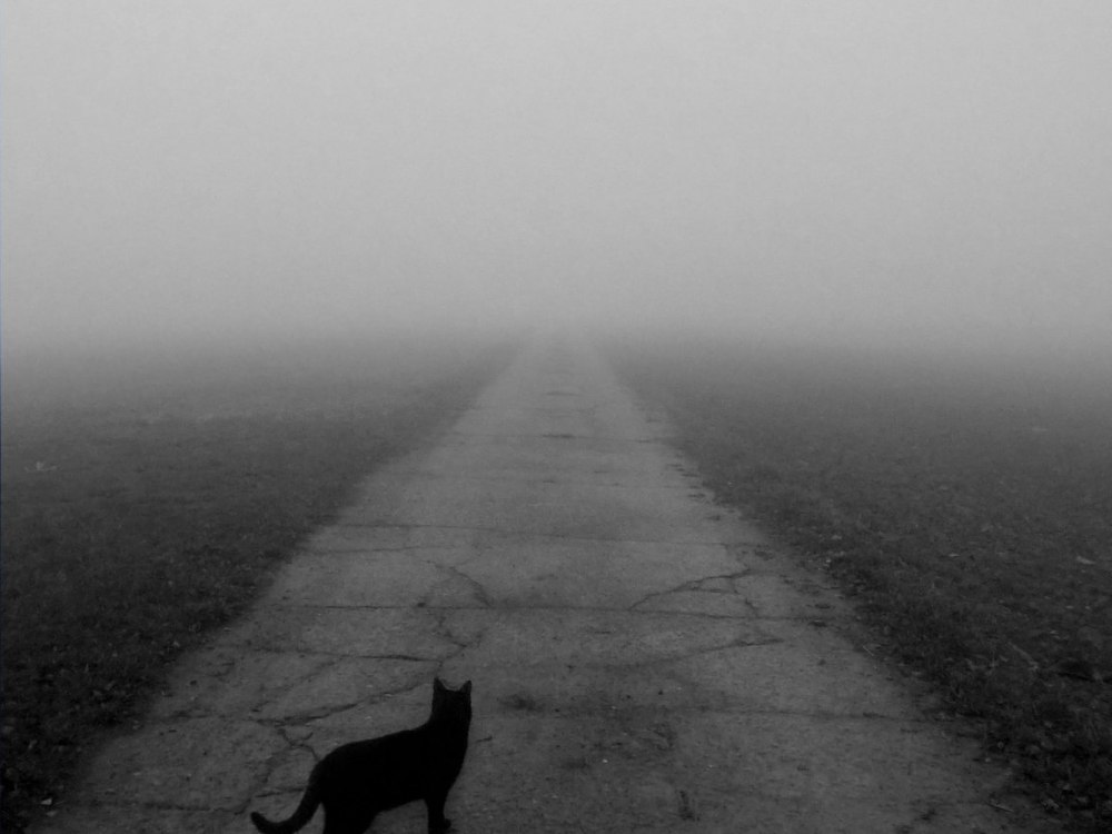 Дорога уходящая в никуда