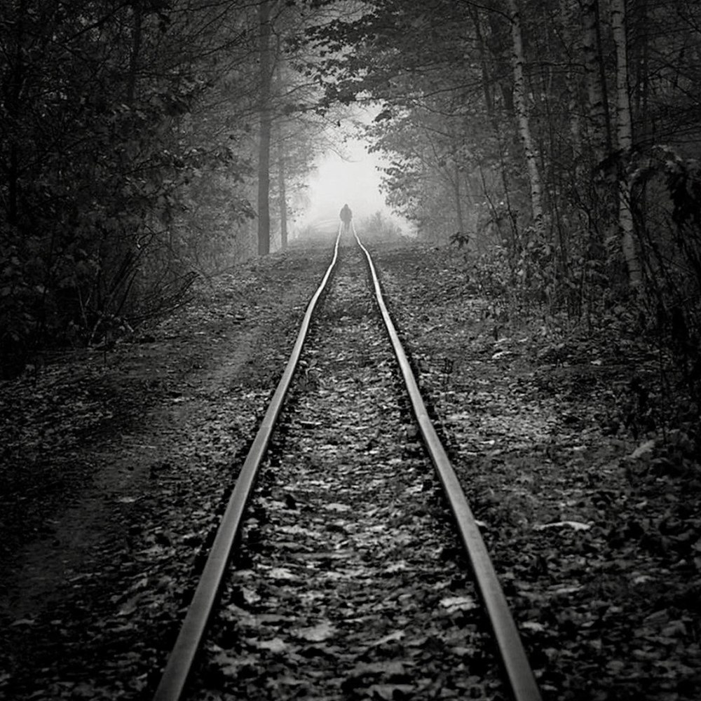 Фотохудожник Leszek Bujnowski