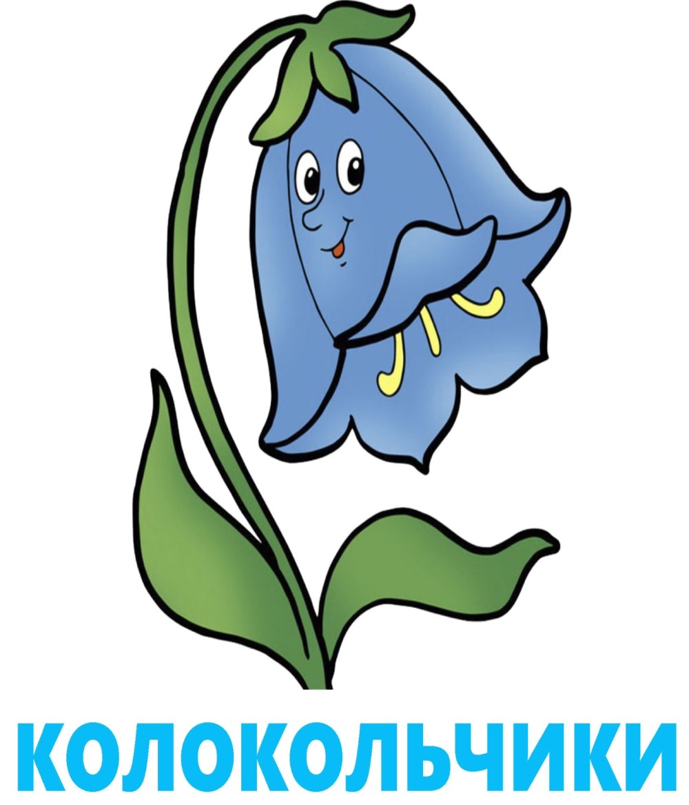 Список детей группы колокольчик