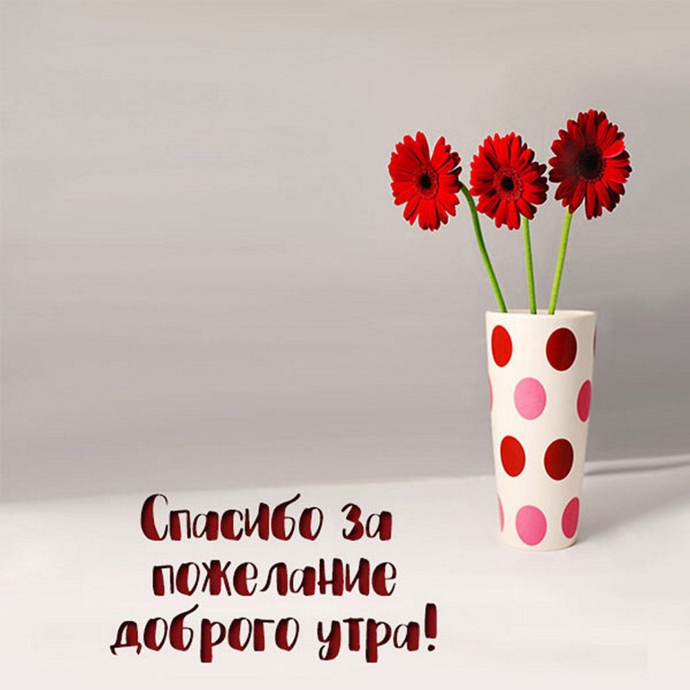 Благодарность за доброту
