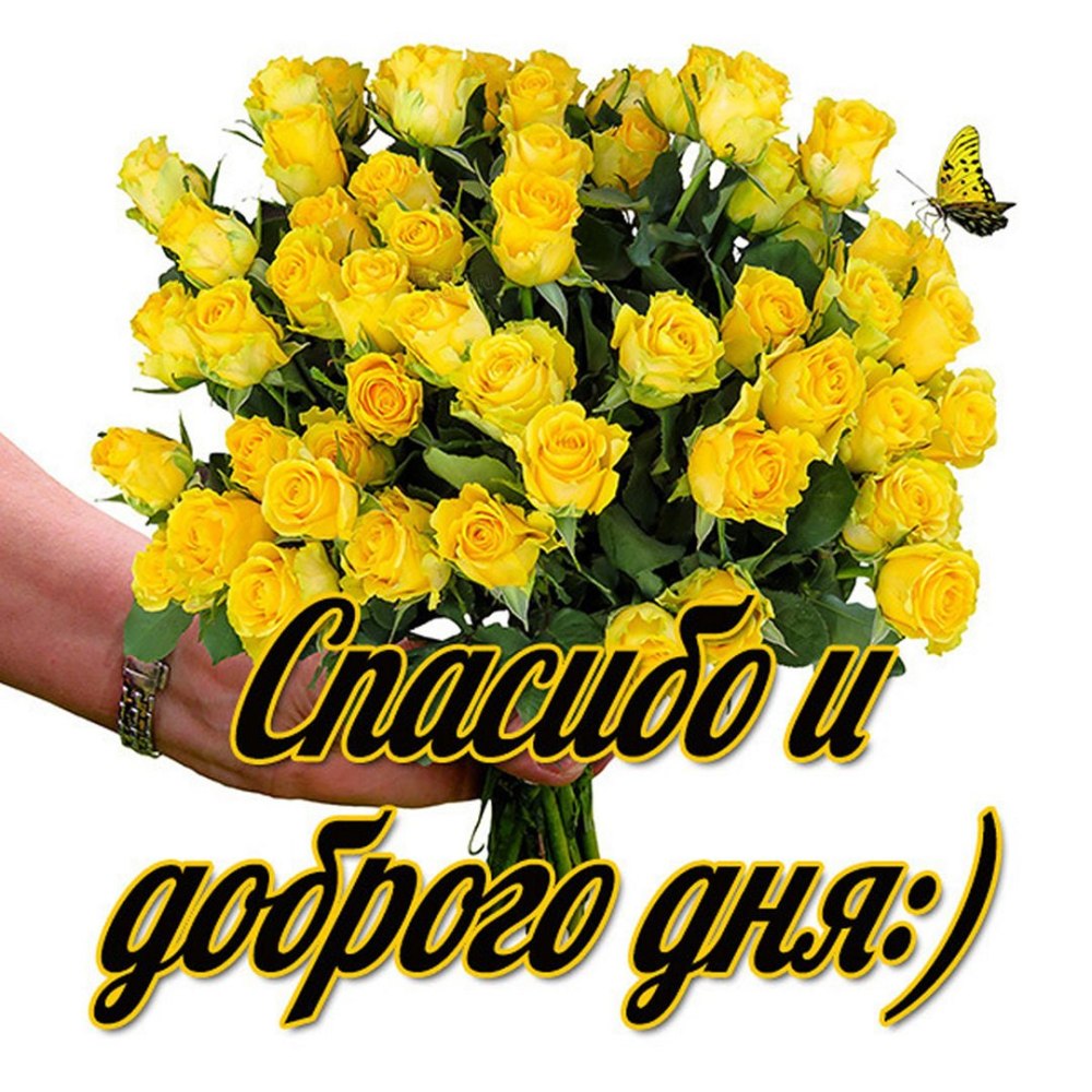 Открытки спасибо хорошего дня