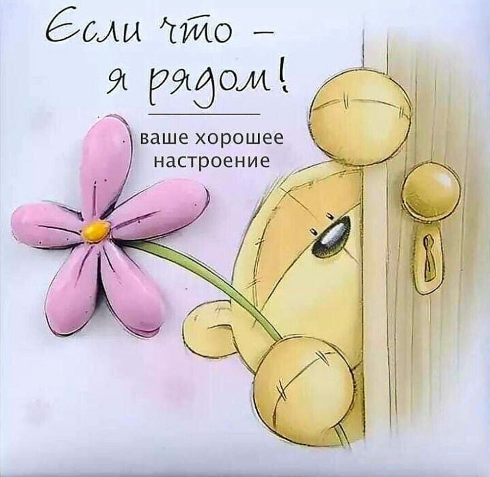 Ромашка улыбается