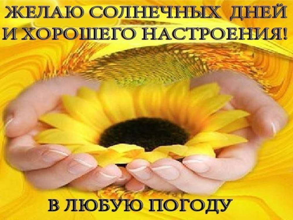 Открытка это тебе еле донесла