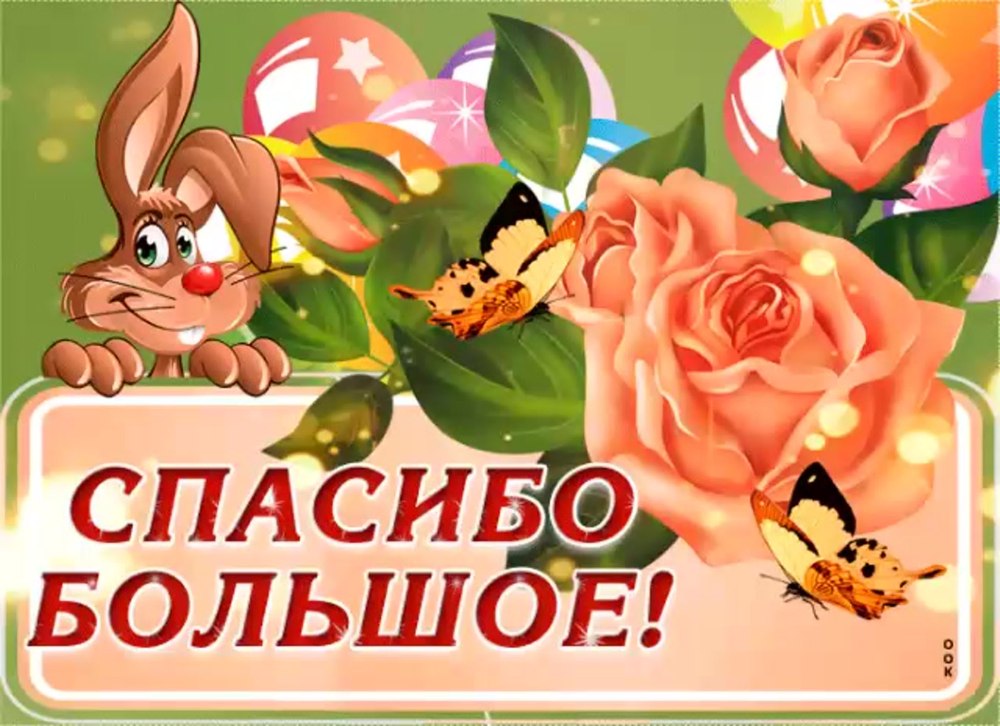 Спасибо за жизнь