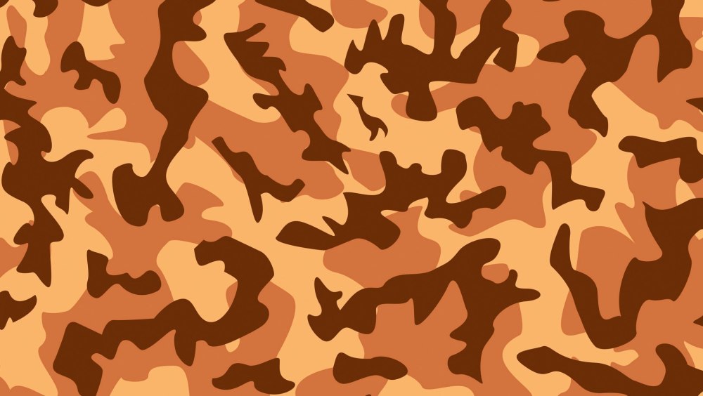 Bape sta камуфляж оранжевые