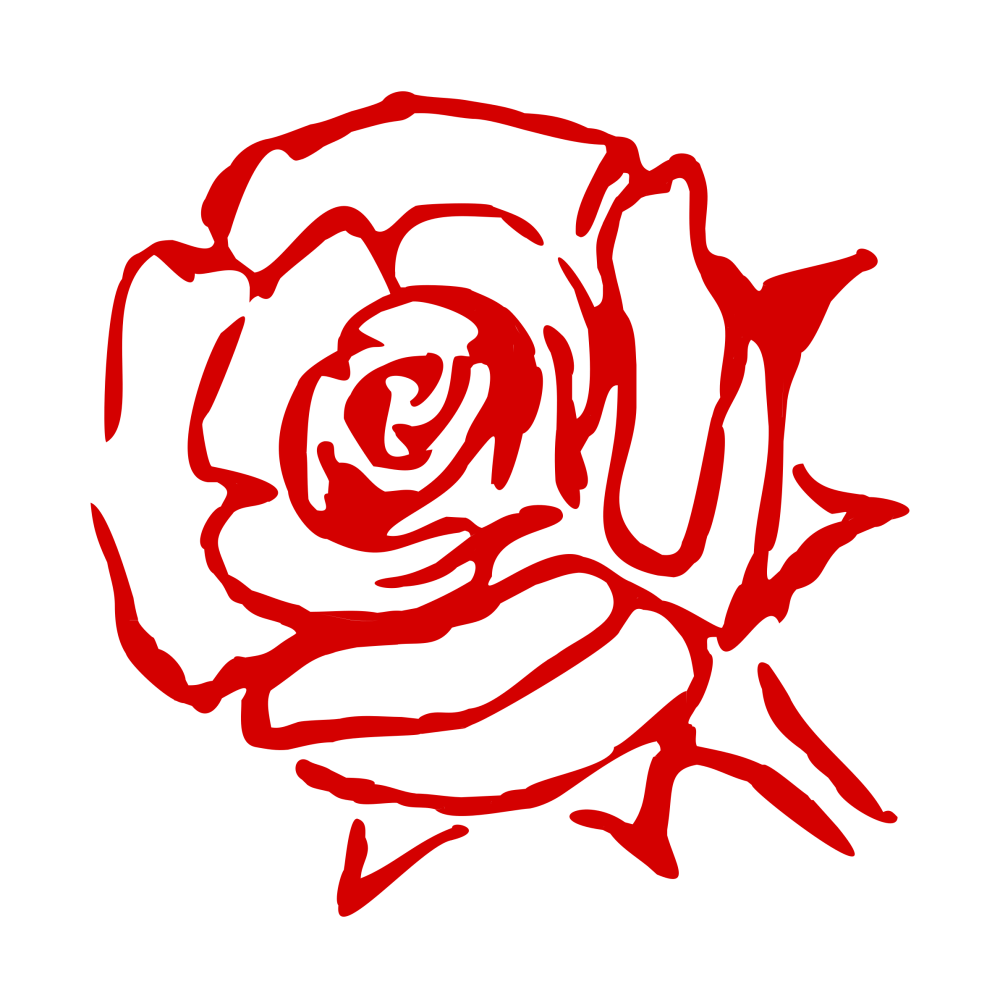 Роза Векторная Графика