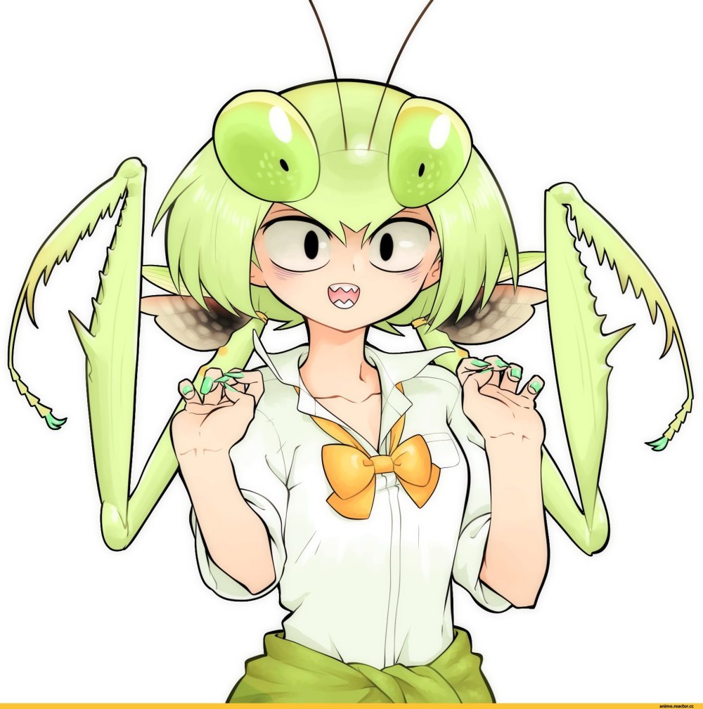 Insect Monster girl сколопендра