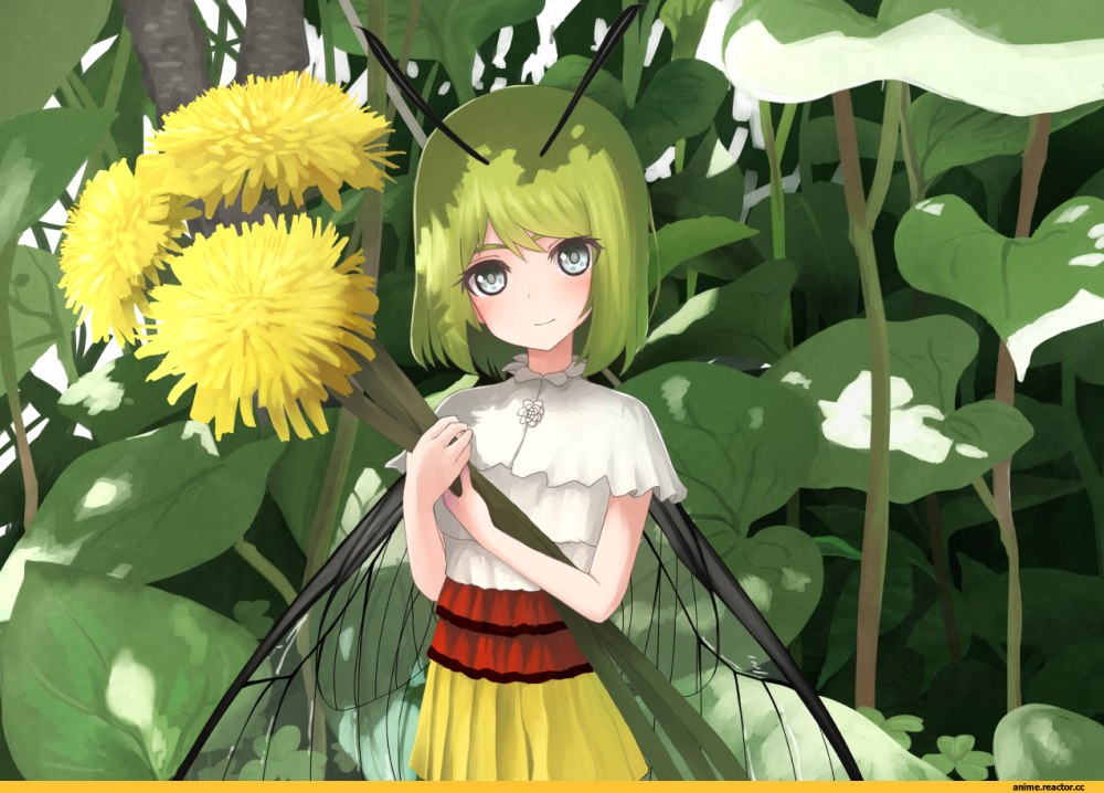 Monster girl anime сколопендра