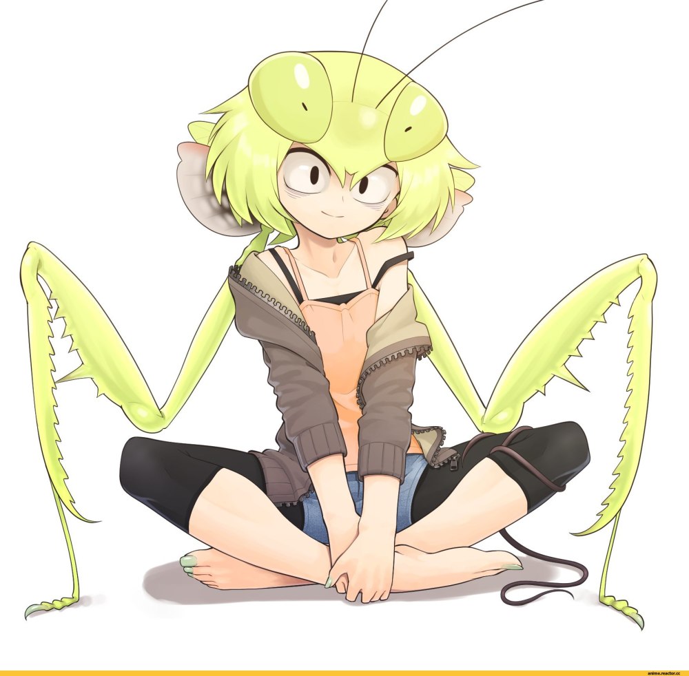 Monster Musume пчела