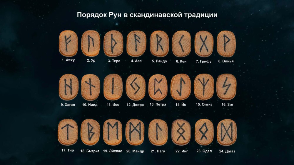 Пара лебедей