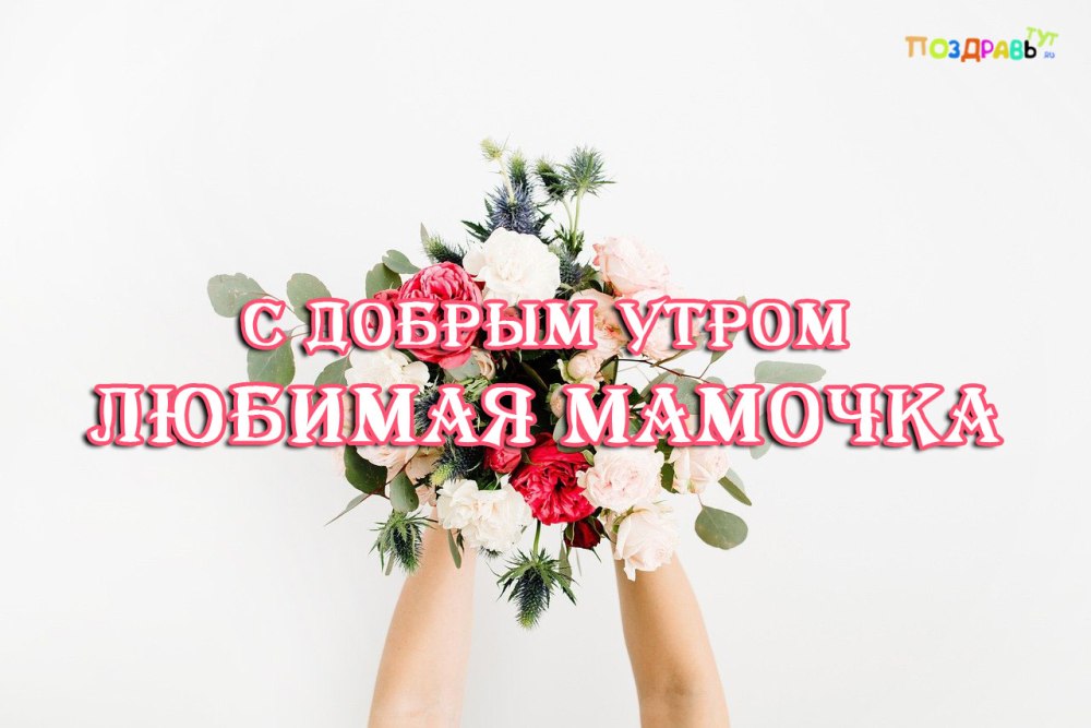 Чудное утро картинки красивые картинки
