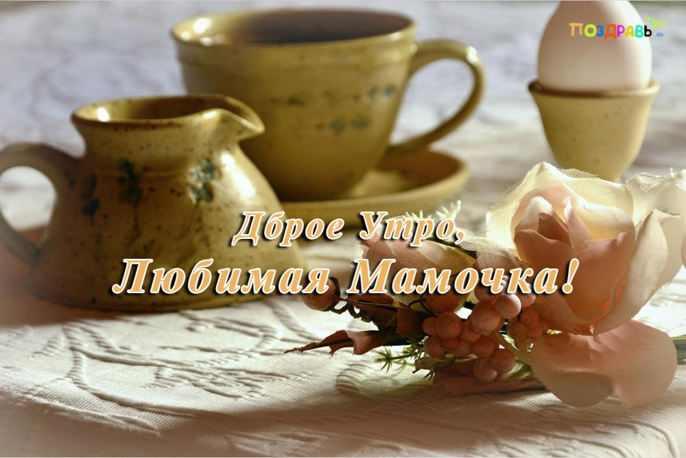 Доброе утро с цветами