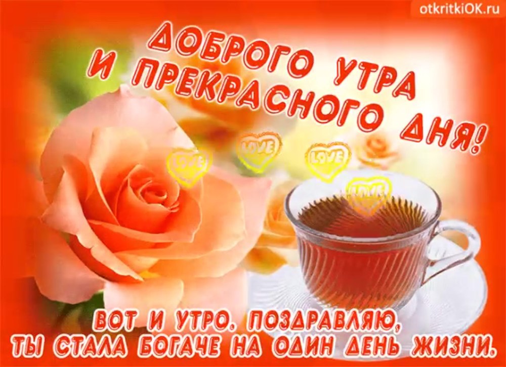 Луг в солнечных лучах