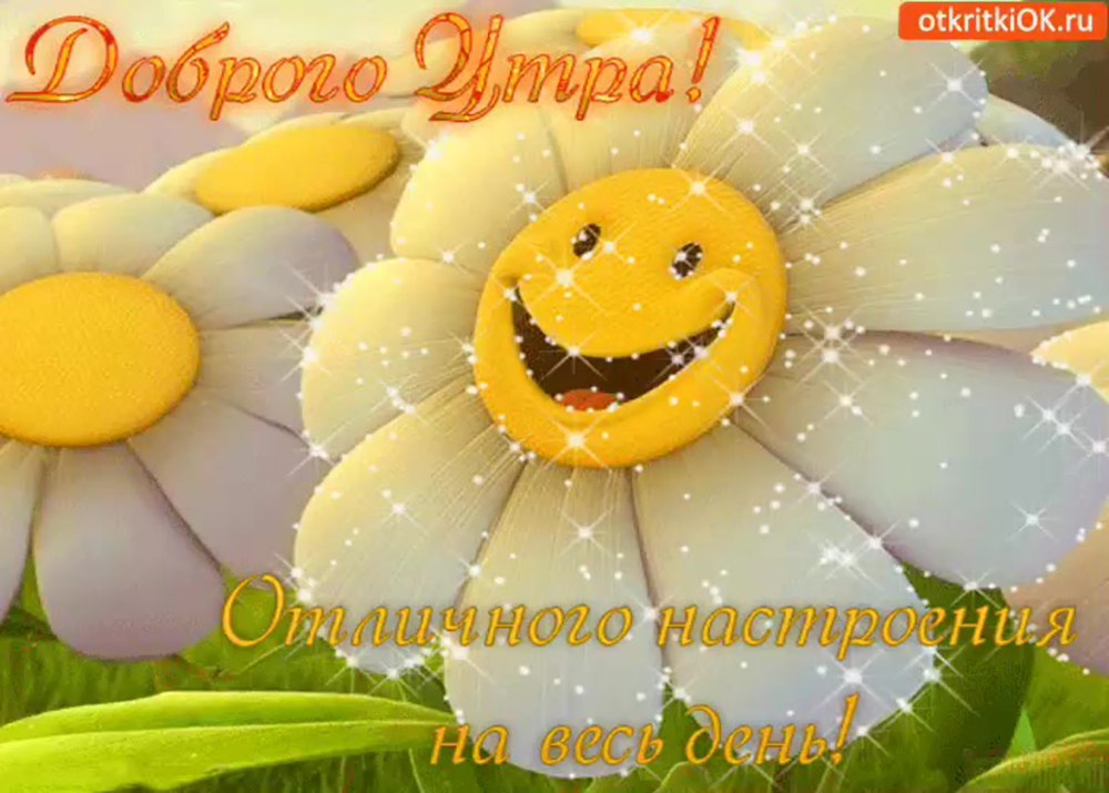 Доброе утро мамочка