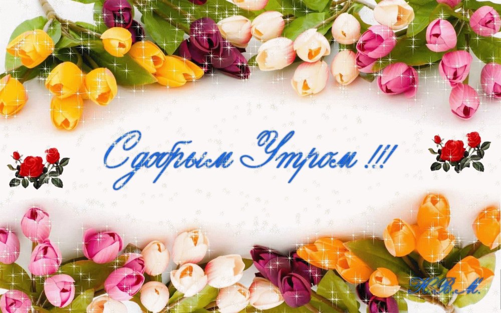 Открытки с пожеланиями хорошего дня