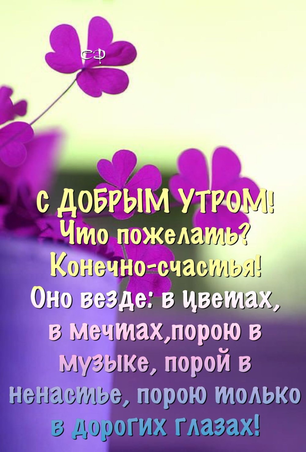 Картинки с добрым утром новые стильные с надписями розы