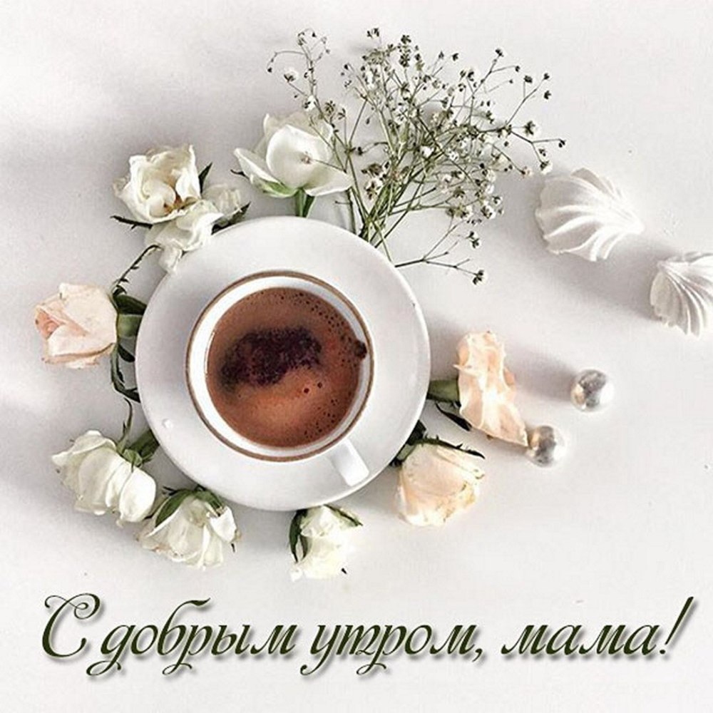 Любовь Витальевна Титова художник