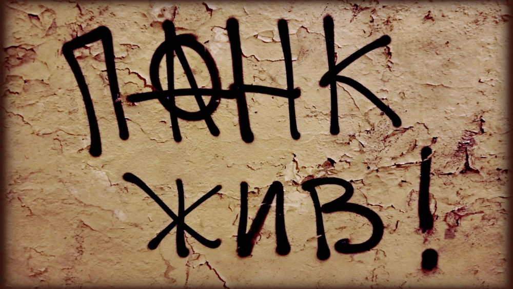 Punks not Dead обои