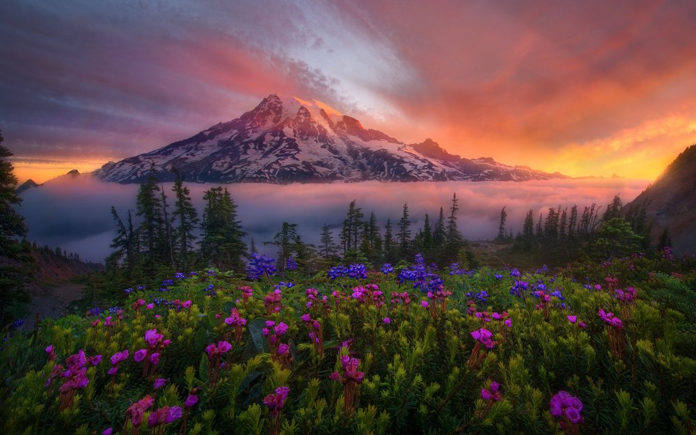 Марк Адамус фотограф