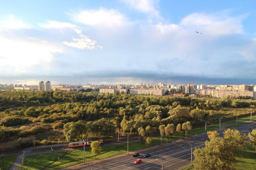 Вид из окна на парк
